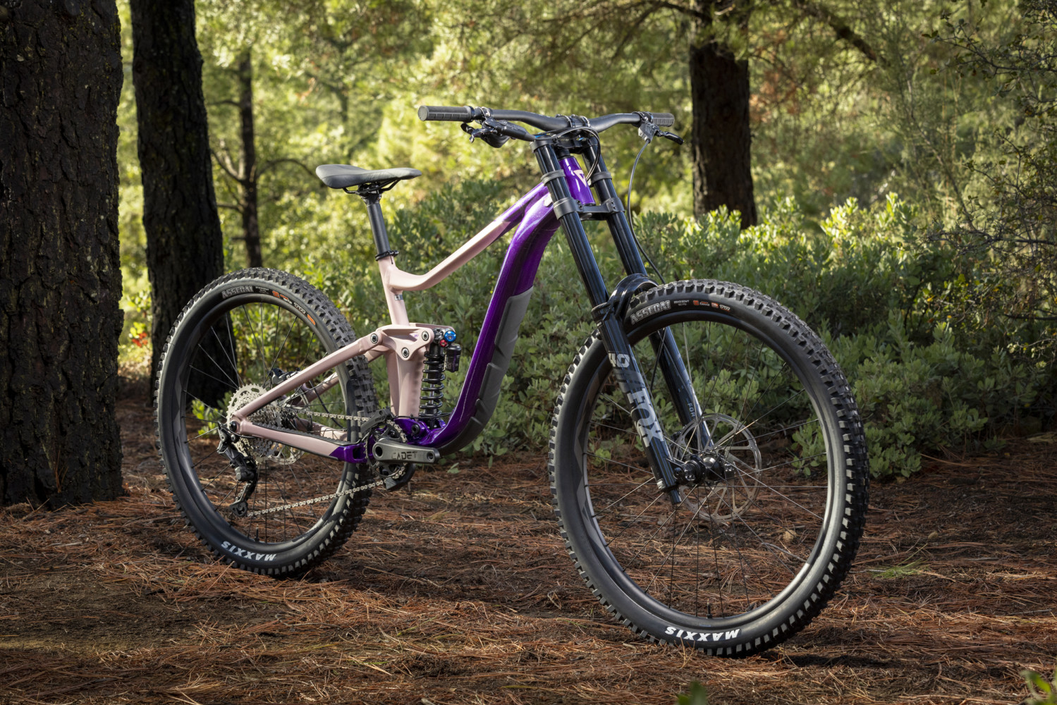 Pneumatiques pour cycles boutique -Pneumatiques pour cycles boutique LOCATION VTT BIKE PARK GIANT REIGN SX 2024 EVO2 STORE B